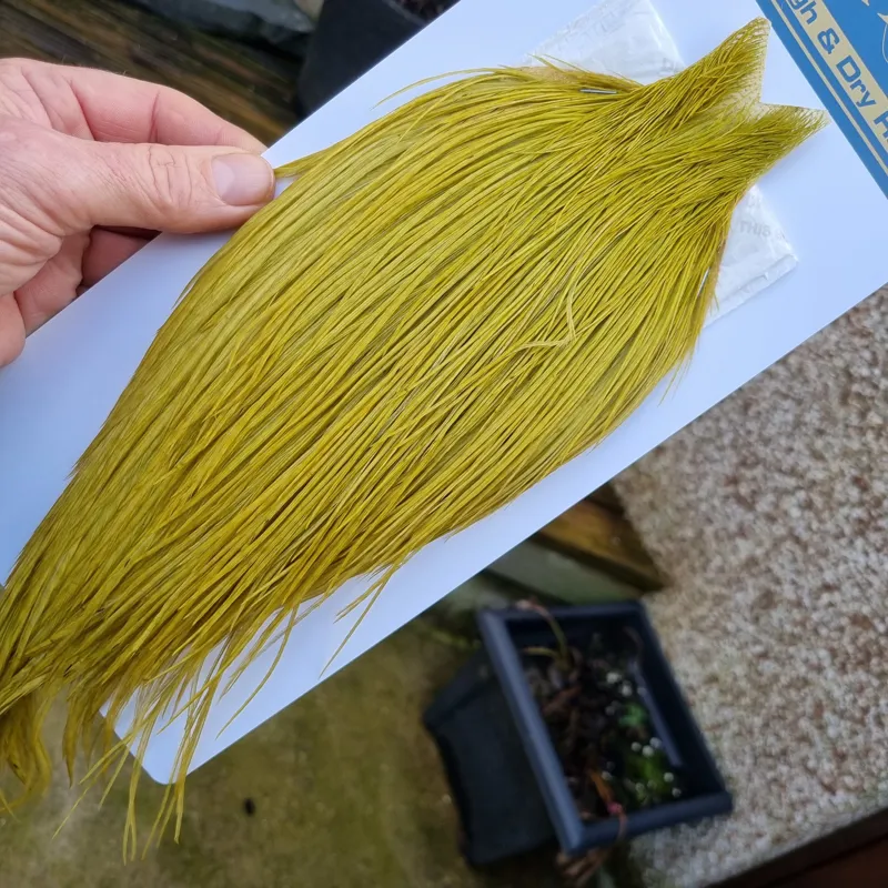 Whiting High and Dry Rooster Cape in Golden Olive-7